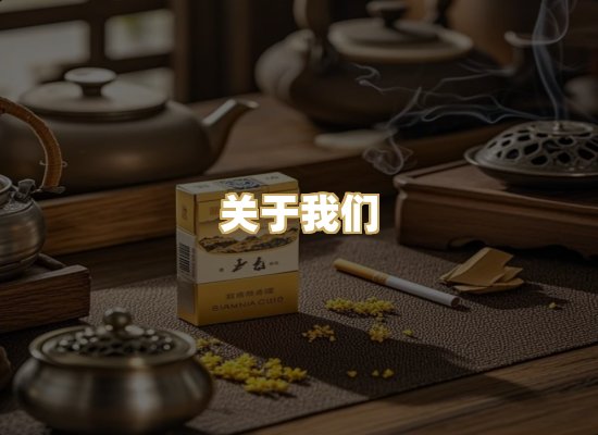 关于我们